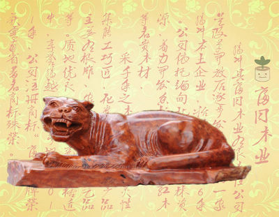 �Źػ��������棩