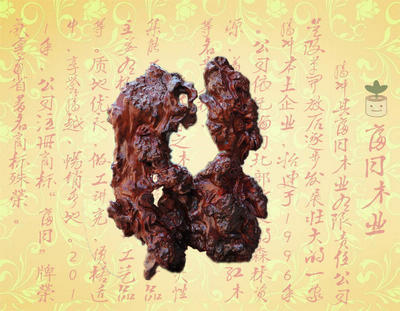 ����Ͳƣ����棩